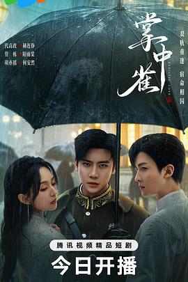 掌中雀 第13集