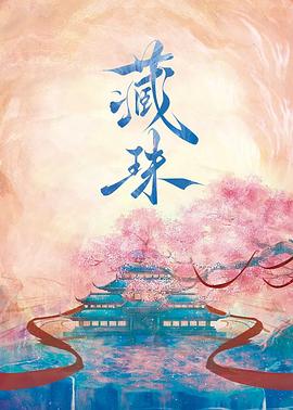 藏珠 第05集