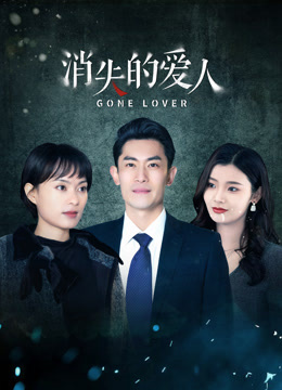 消失的爱人 第23集