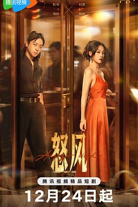 怒风 第05集